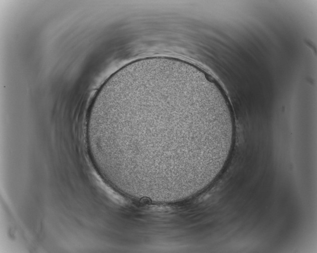 X0000103161525200809121827