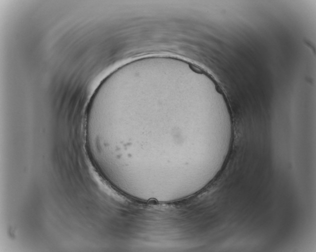 X0000103161526200809121827