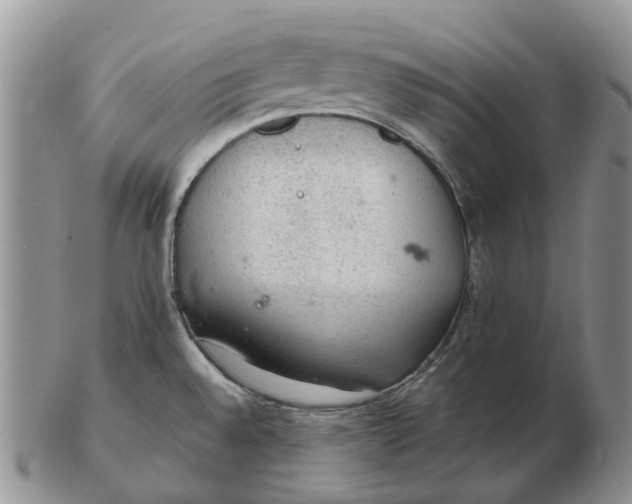 X0000103161528200809121827