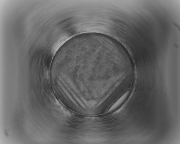 X0000103161529200809121827