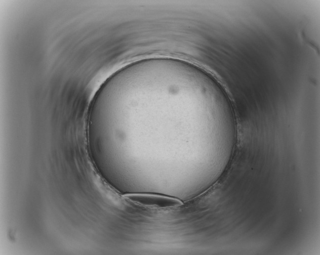 X0000103161530200809121827