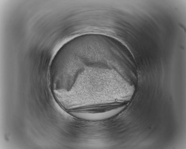 X0000103161531200809121827