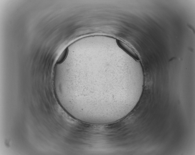 X0000103161532200809121827