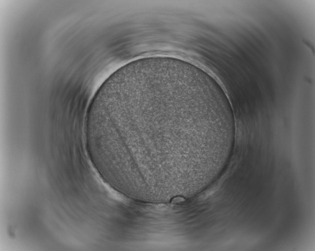 X0000103161533200809121827