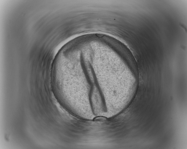 X0000103161534200809121827