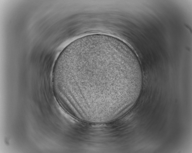 X0000103161535200809121827