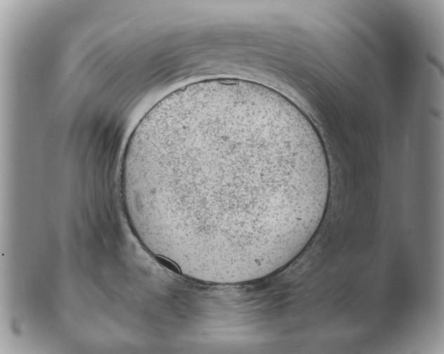 X0000103161536200809121827