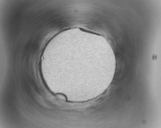 X0000103160001200809192104