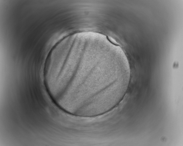 X0000103160002200809192104