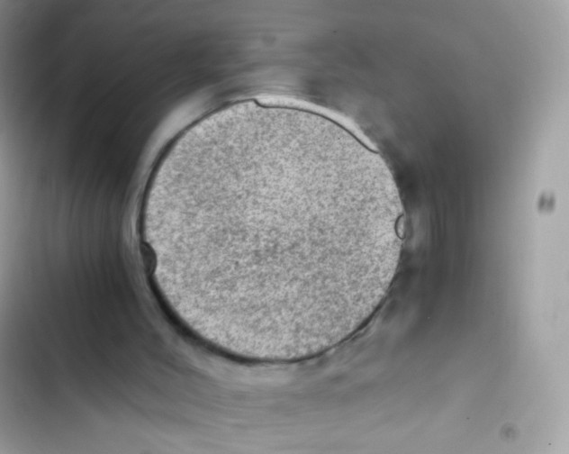 X0000103160004200809192104