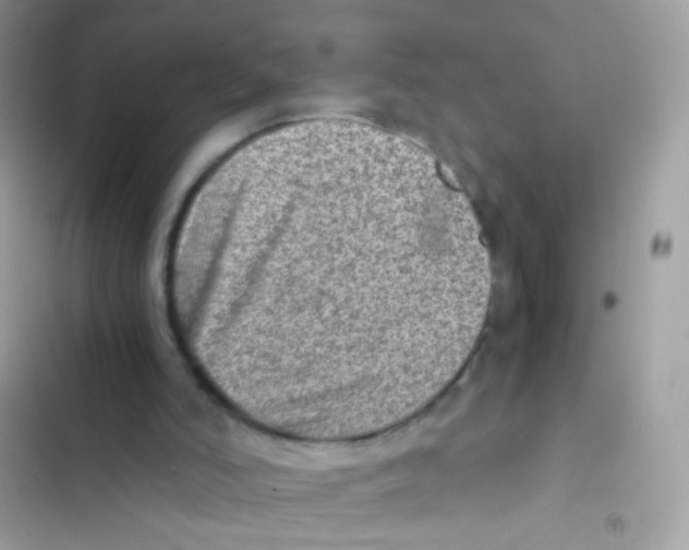 X0000103160006200809192104