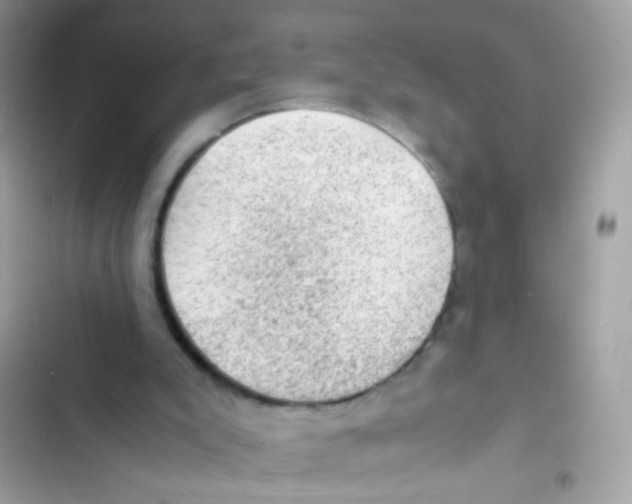 X0000103160007200809192104