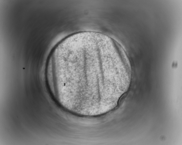 X0000103160008200809192104