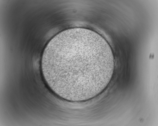 X0000103160010200809192104