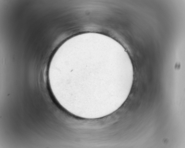 X0000103160011200809192104