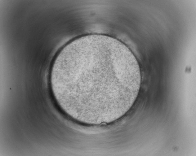 X0000103160012200809192104