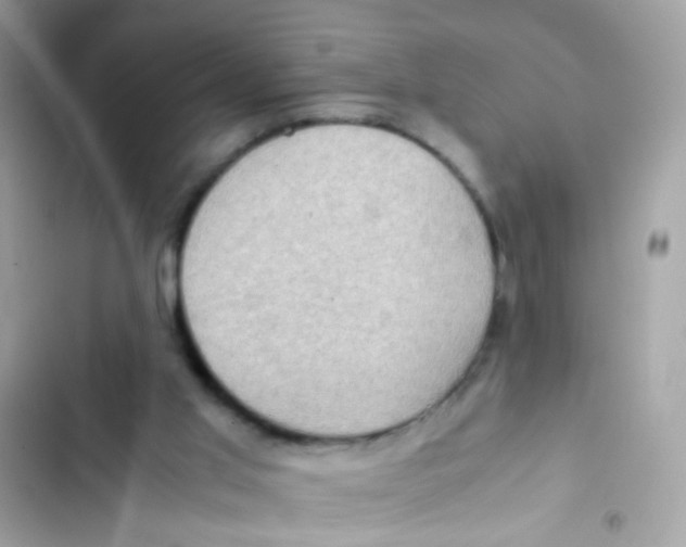 X0000103160013200809192104