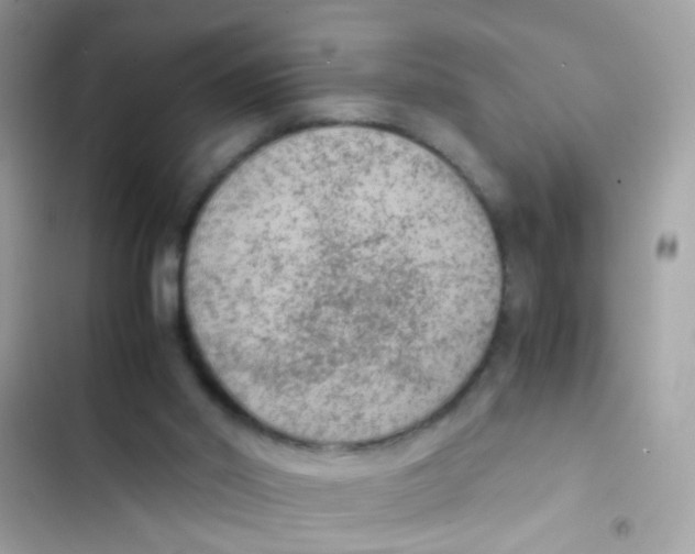 X0000103160014200809192104