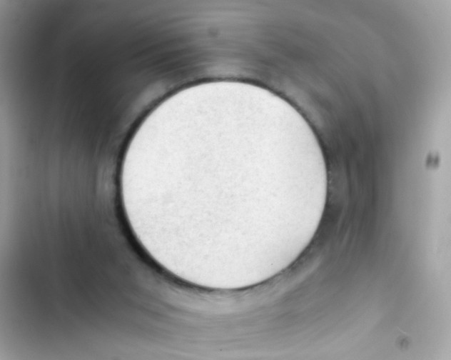 X0000103160015200809192104