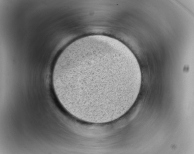 X0000103160016200809192104