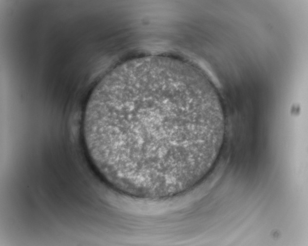 X0000103160018200809192104
