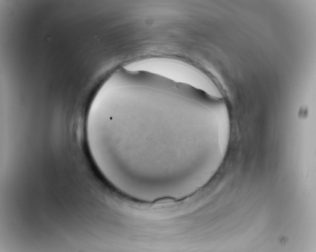 X0000103160019200809192104