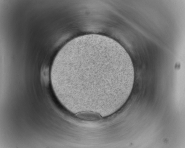X0000103160020200809192104