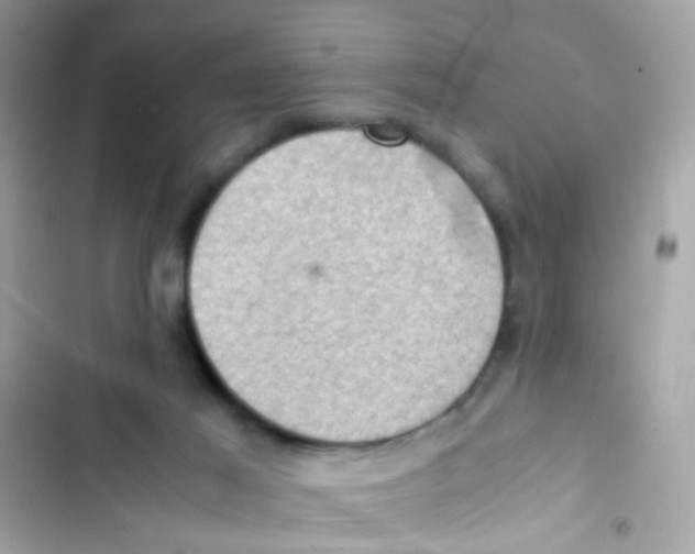 X0000103160021200809192104