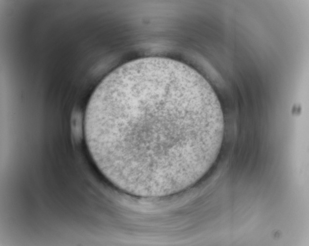 X0000103160022200809192104