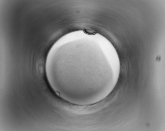 X0000103160023200809192104