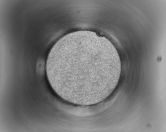 X0000103160024200809192104