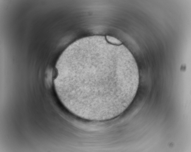 X0000103160028200809192104