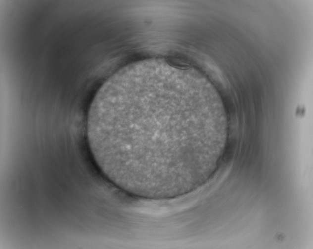 X0000103160029200809192104