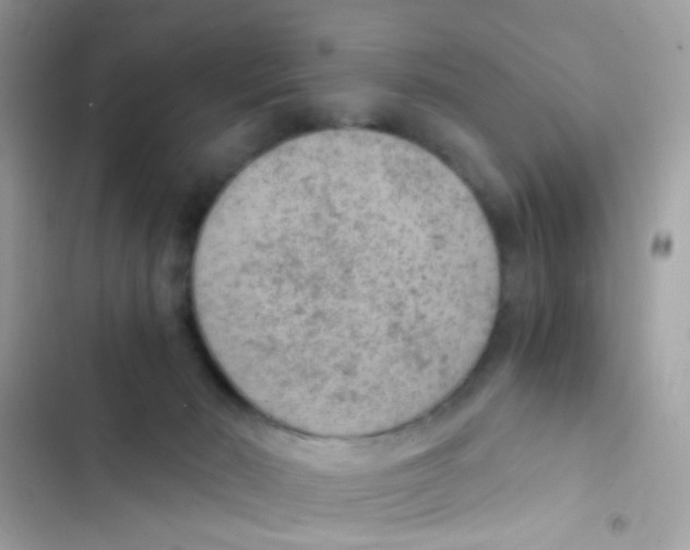 X0000103160030200809192104