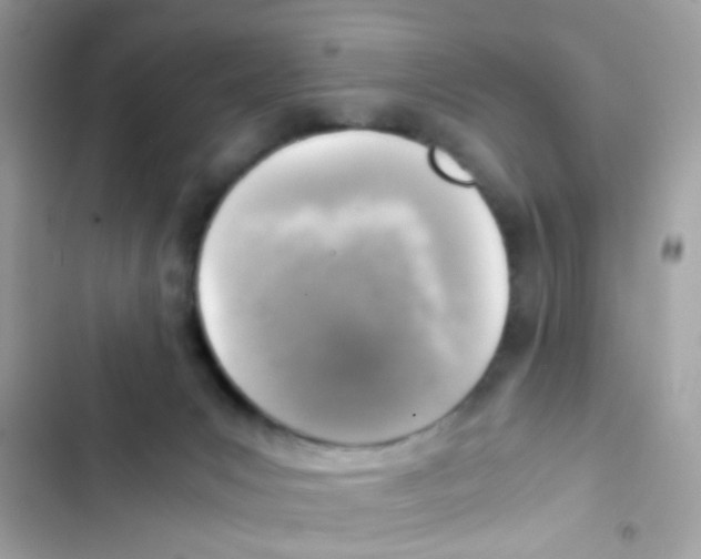 X0000103160031200809192104