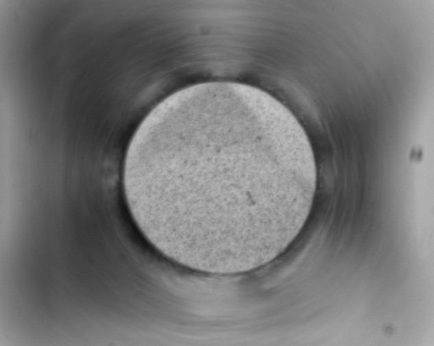 X0000103160032200809192104