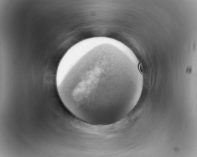 X0000103160035200809192104