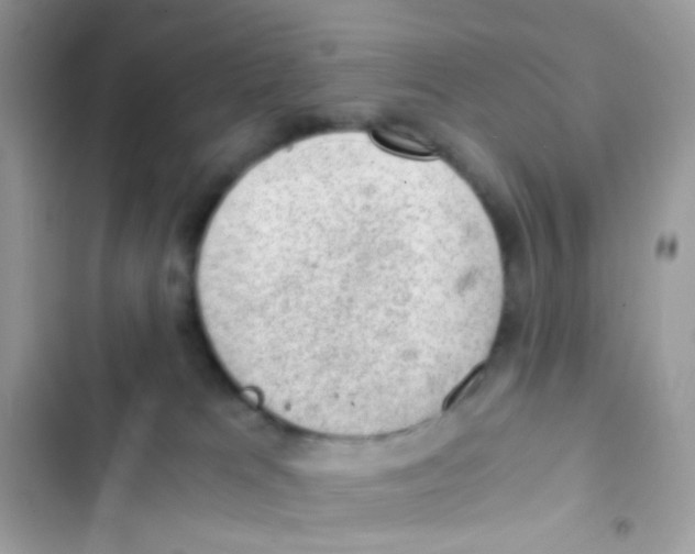 X0000103160037200809192104