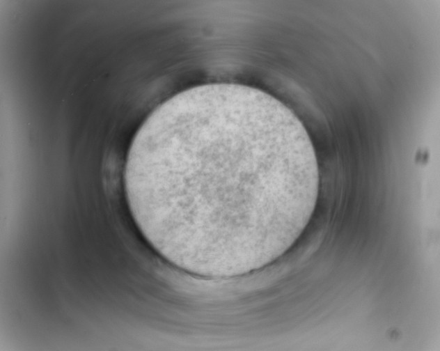 X0000103160038200809192103