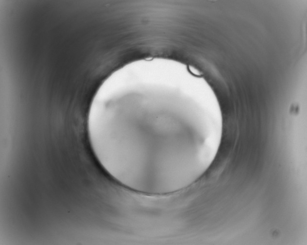 X0000103160039200809192103