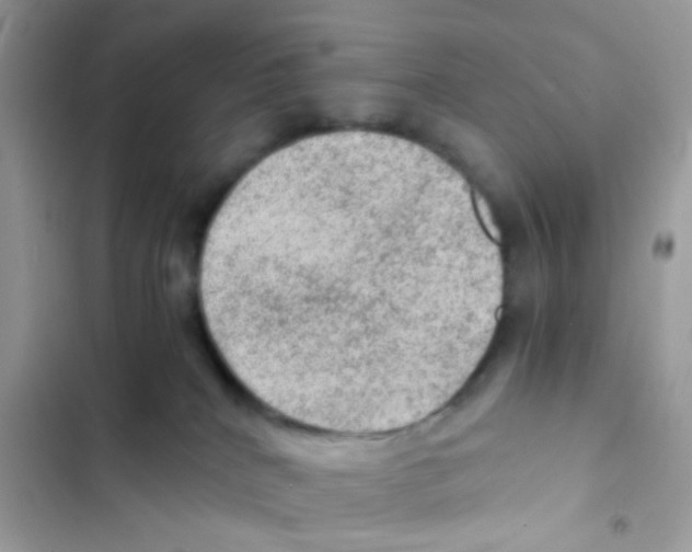 X0000103160040200809192103