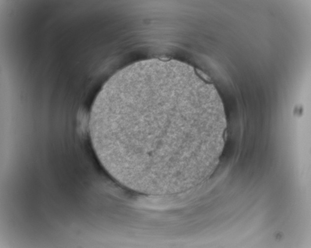 X0000103160041200809192103