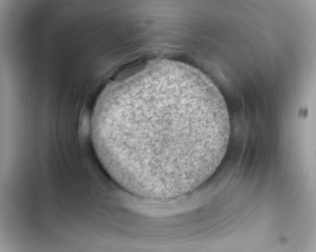 X0000103160042200809192103