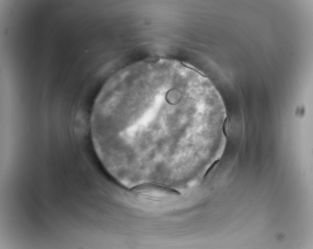 X0000103160043200809192103