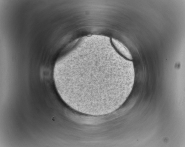 X0000103160044200809192103