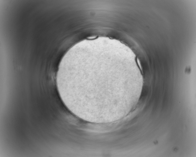 X0000103160045200809192103