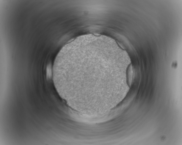 X0000103160046200809192103