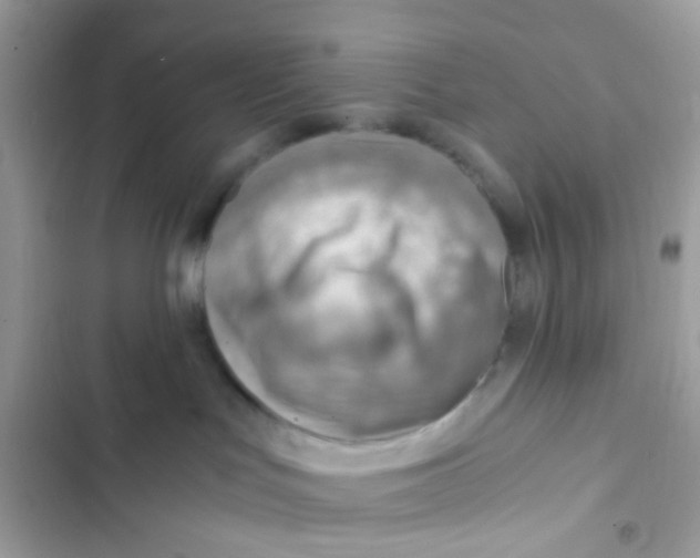 X0000103160047200809192103