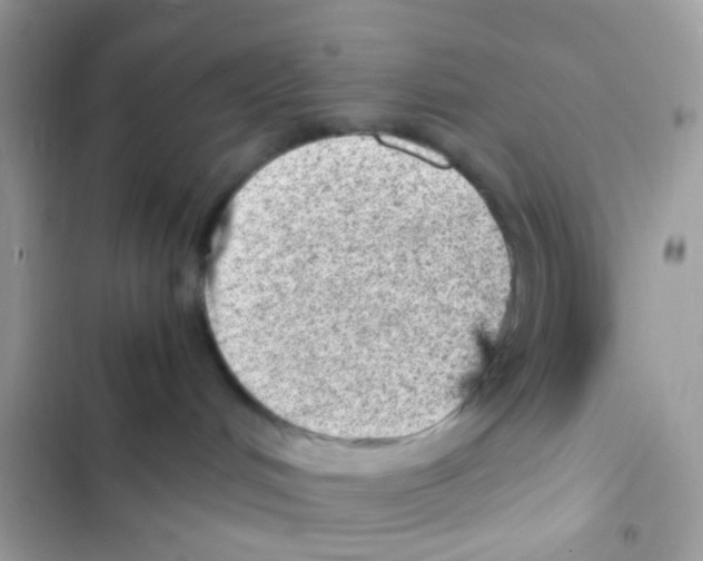 X0000103160048200809192103