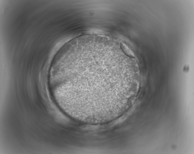 X0000103160049200809192103